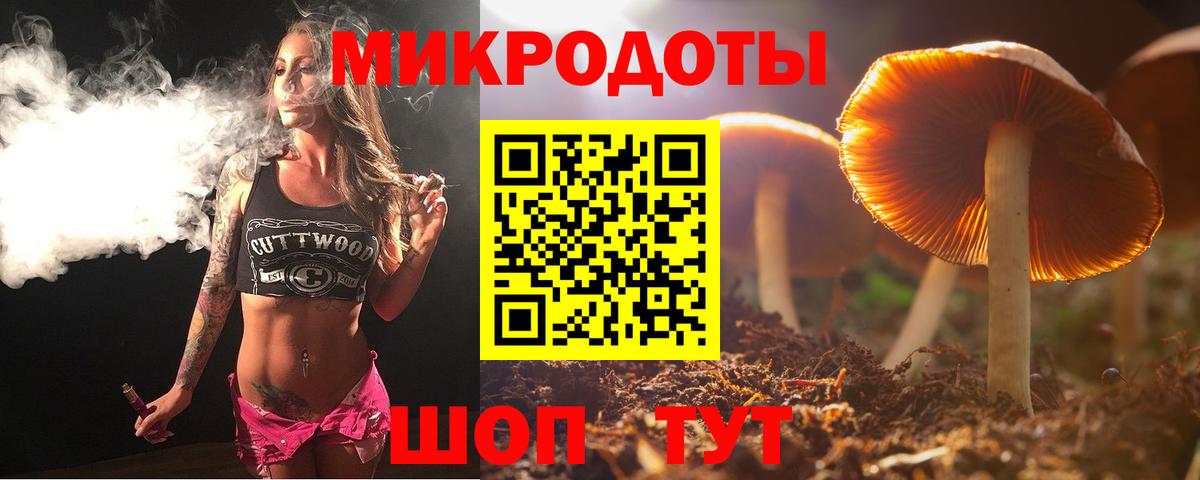 где найти наркотики  Псилоцибиновые грибы мухоморы  Вход с VPN  Псилоцибиновые грибы мухоморы  Богородск 